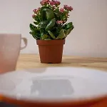 Апартаменты Sweet *